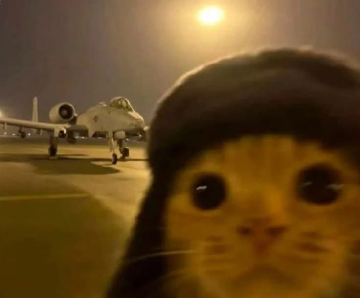 I Found a Bug That Permanently Burns Money