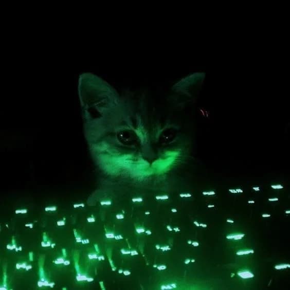 Nmap: From Basic Discovery to Advanced Penetration Testing