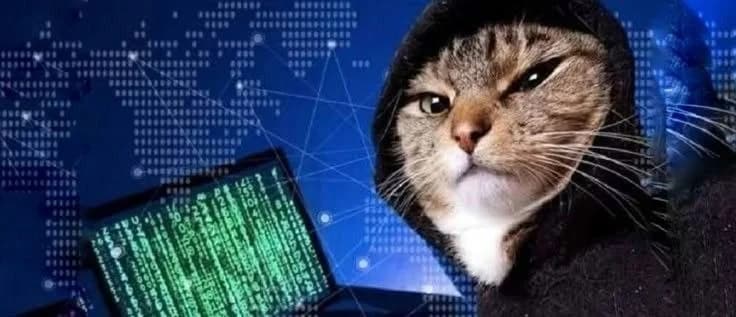 THE BUG BOUNTY BLUEPRINT: HACK LEGALLY, GET PAID (2026 EDITION)