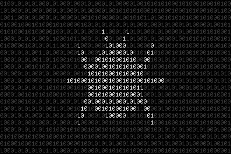 When Online Orders Cost Nothing: Lessons from a Platform Vulnerability